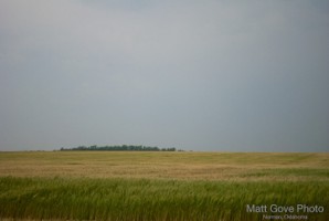 Picture 8