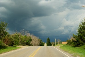 Picture 102