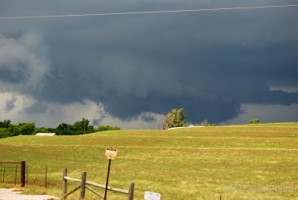 Picture 28