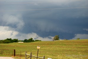 Picture 31