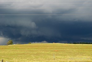 Picture 33