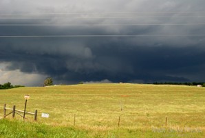 Picture 35