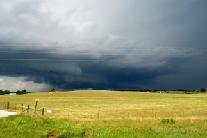 Picture 37