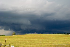 Picture 38