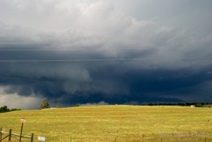 Picture 39
