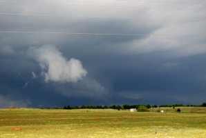 Picture 45