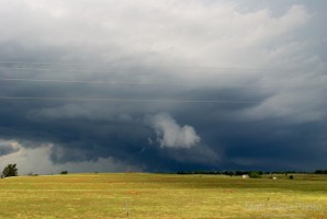 Picture 46