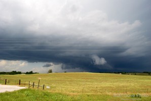 Picture 48