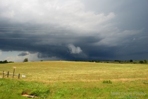 Picture 49