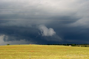 Picture 50
