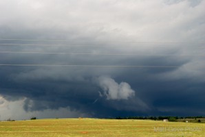 Picture 52