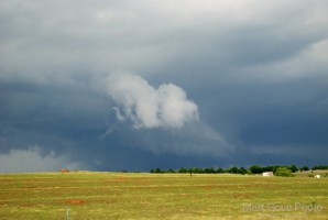 Picture 53