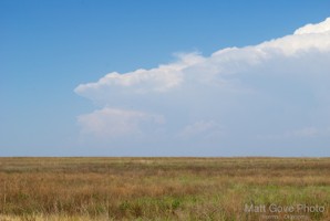 Picture 31