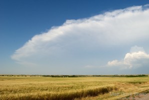 Picture 54