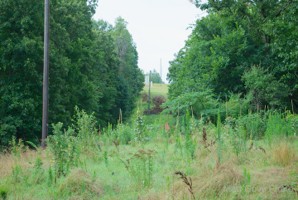 Picture 9