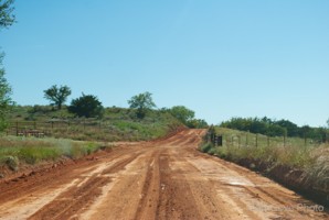 Picture 103