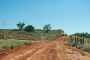 Picture 104