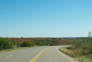 Picture 115