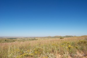 Picture 29