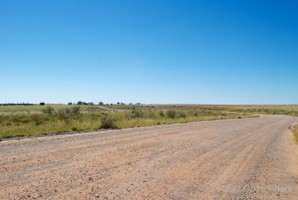 Picture 30