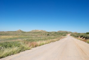 Picture 38