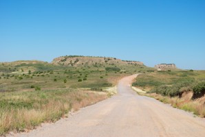 Picture 41