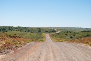 Picture 44