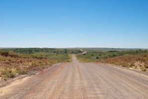 Picture 45