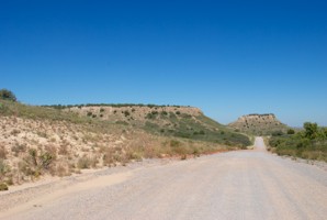 Picture 47