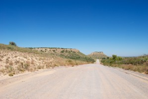 Picture 48