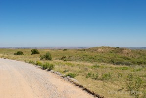 Picture 59