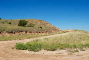 Picture 61