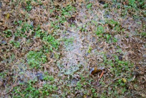 Picture 1