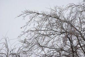 Picture 104