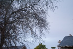 Picture 11