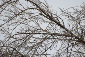 Picture 120