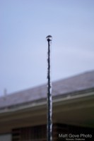 Picture 31