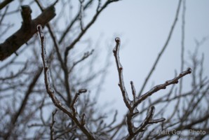 Picture 37