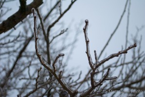 Picture 38