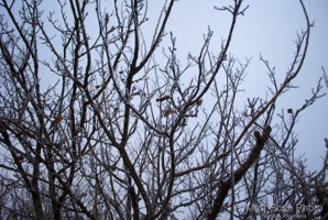 Picture 40