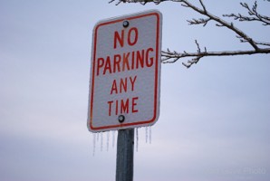 Picture 41