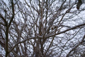Picture 47