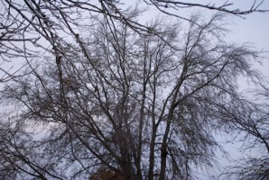 Picture 49