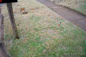 Picture 62