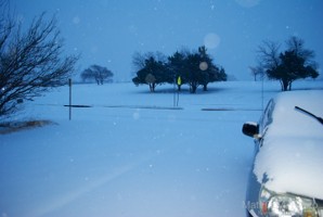 Picture 10