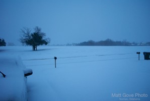 Picture 12