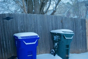 Picture 21