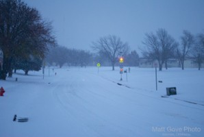 Picture 24