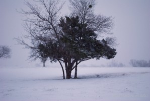 Picture 26
