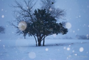 Picture 27